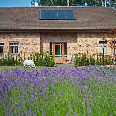 B&B Gielse Garden Gierle Exterior foto